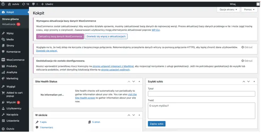 Zrzut ekranu przedstawiający Kokpit czyli część panela administracyjnego którego używają sprzedawcy w sklepach online którzy używają wtyczki WooCommerce