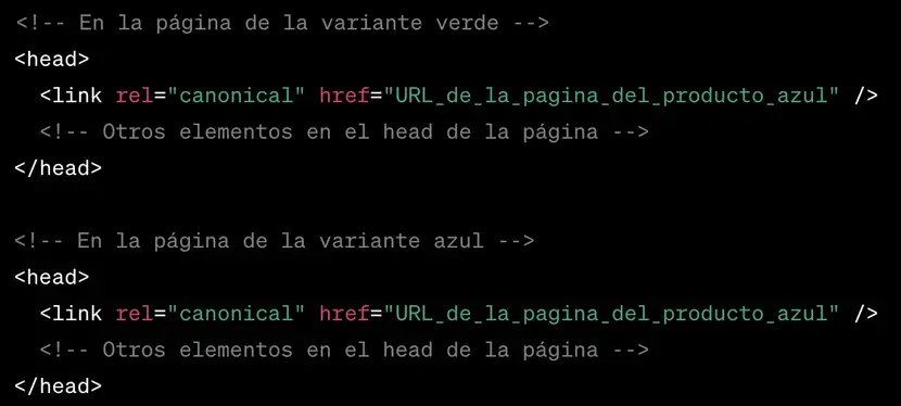 etiqueta-canonical-ecommerce